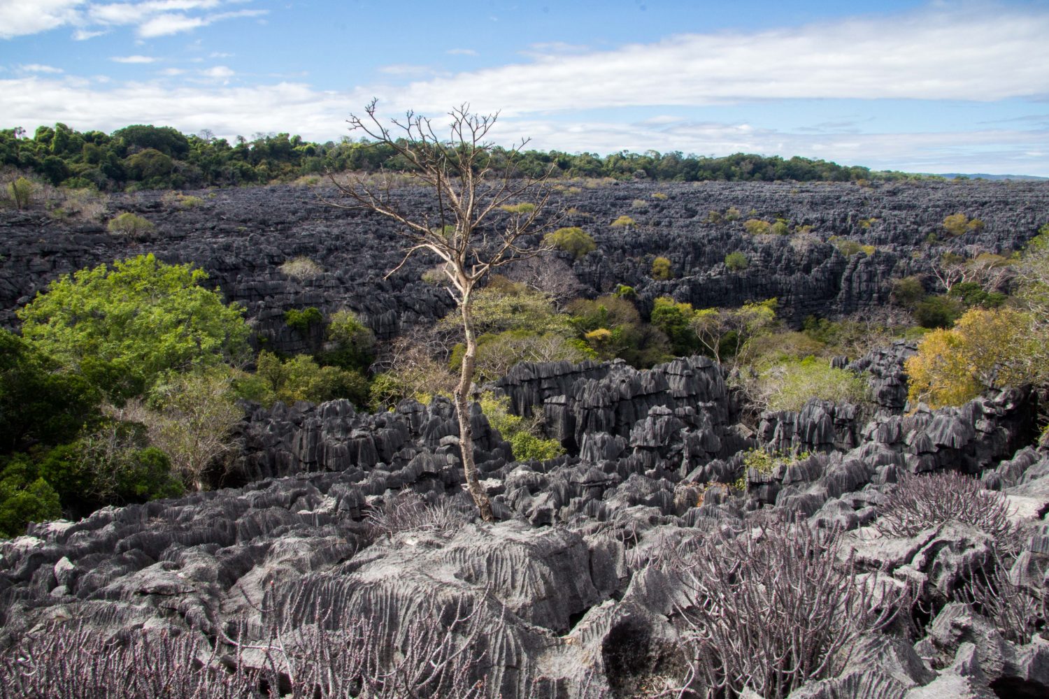 Ankarana Park Madagaskar (23)