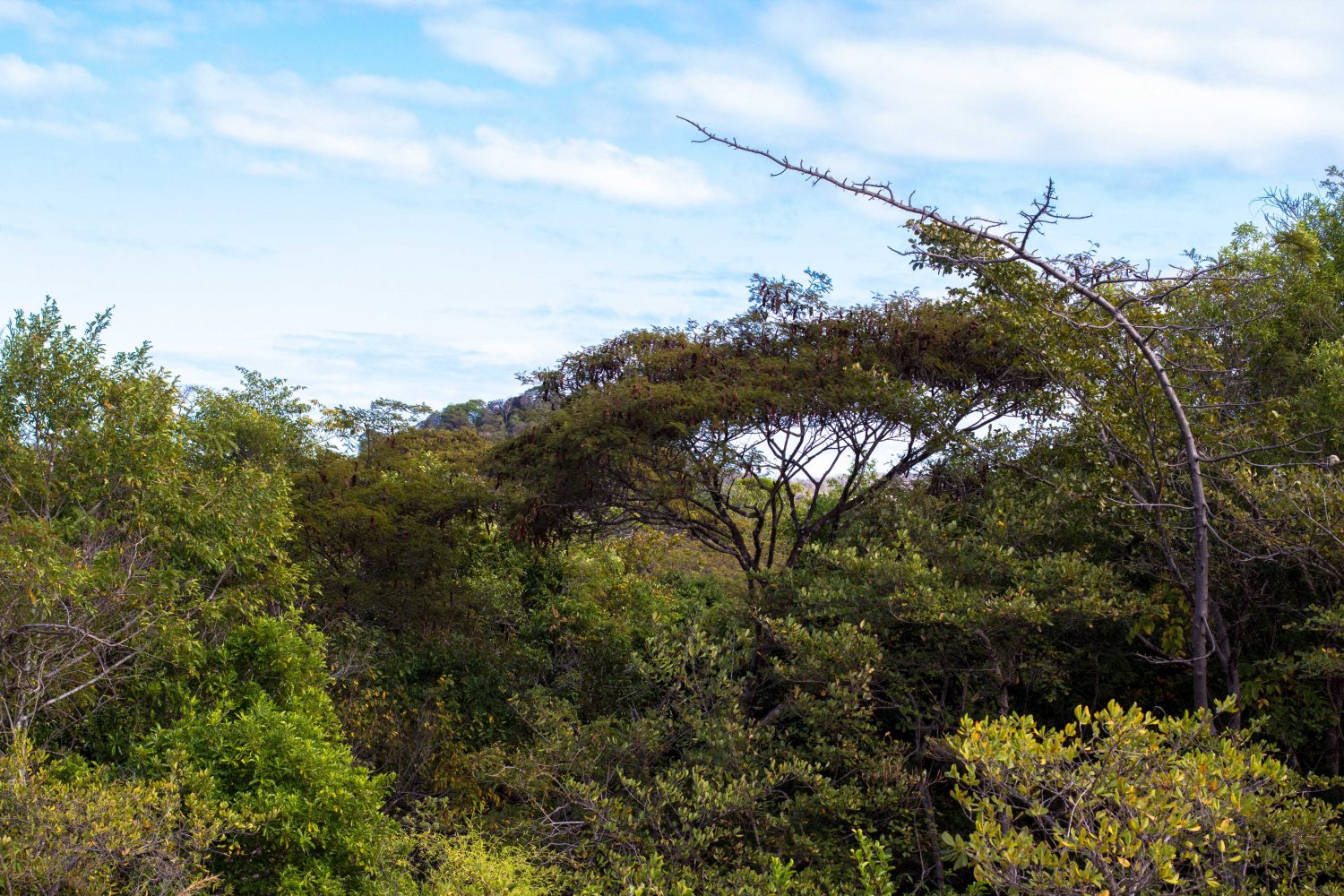 Ankarana Park Madagaskar (3)