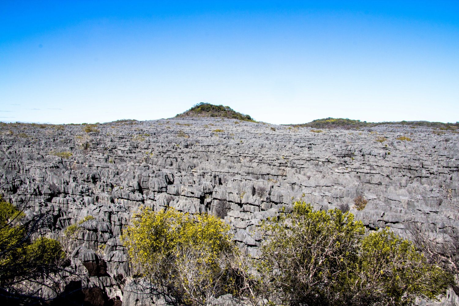 Ankarana Tsingi Madagaskar (1)