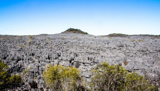 Ankarana National Park