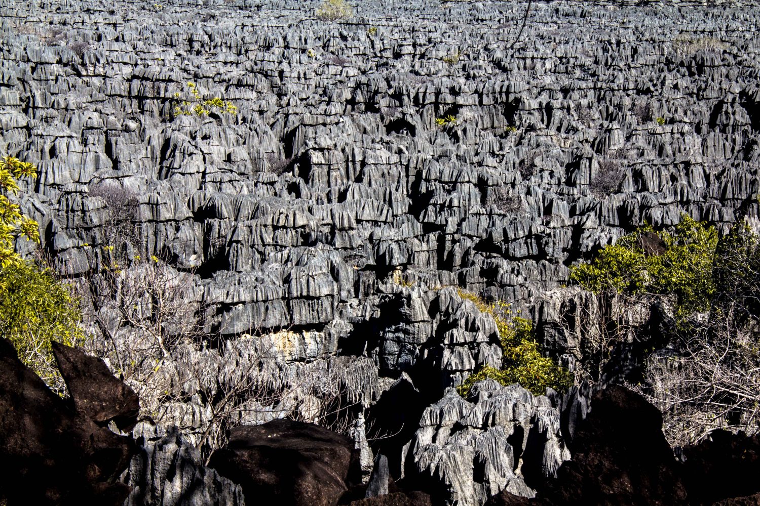 Ankarana Tsingi Madagaskar (2)