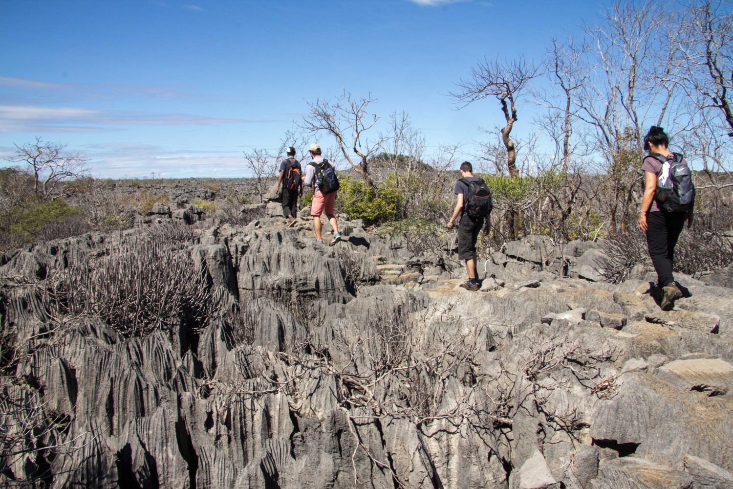 Ankarana Tsingi Madagaskar (3)