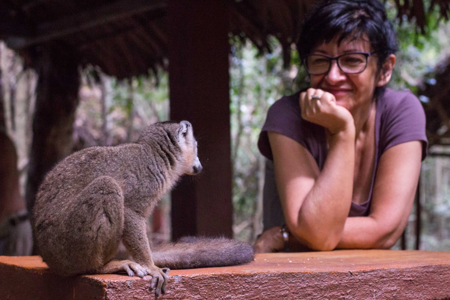 Lemury Madagaskar (2)