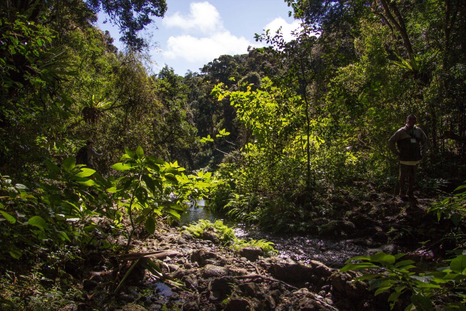 Amber Mountain National Park Madagascar (11)