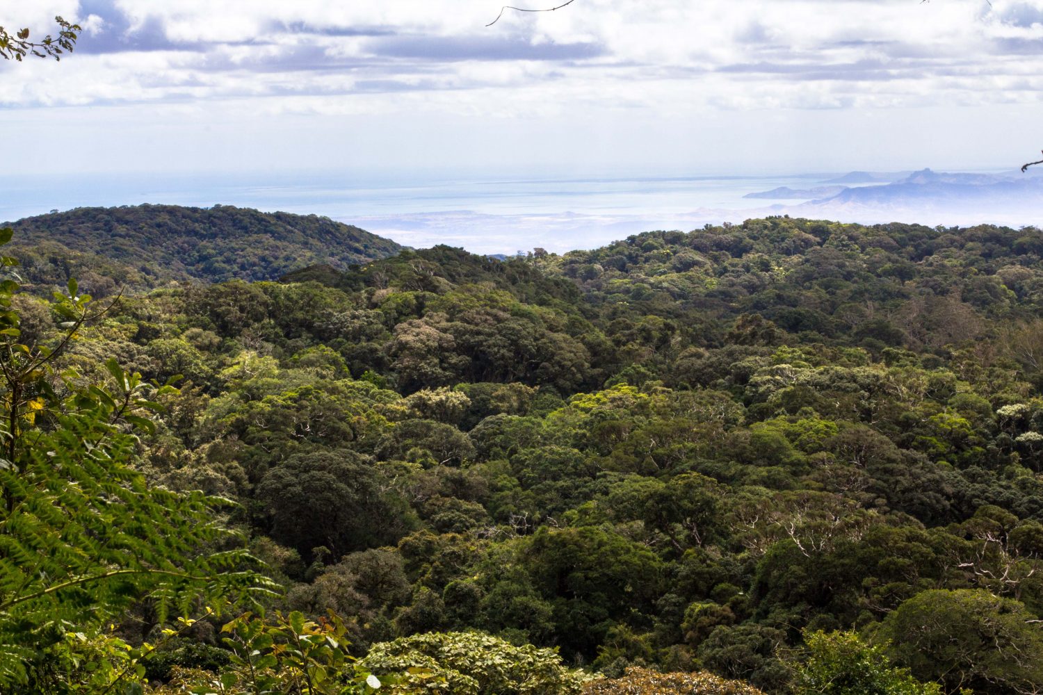 Amber Mountain National Park Madagascar (24)