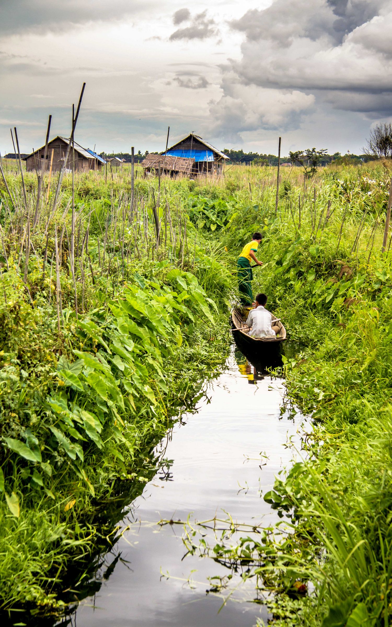 pływające ogrody Inle Lake