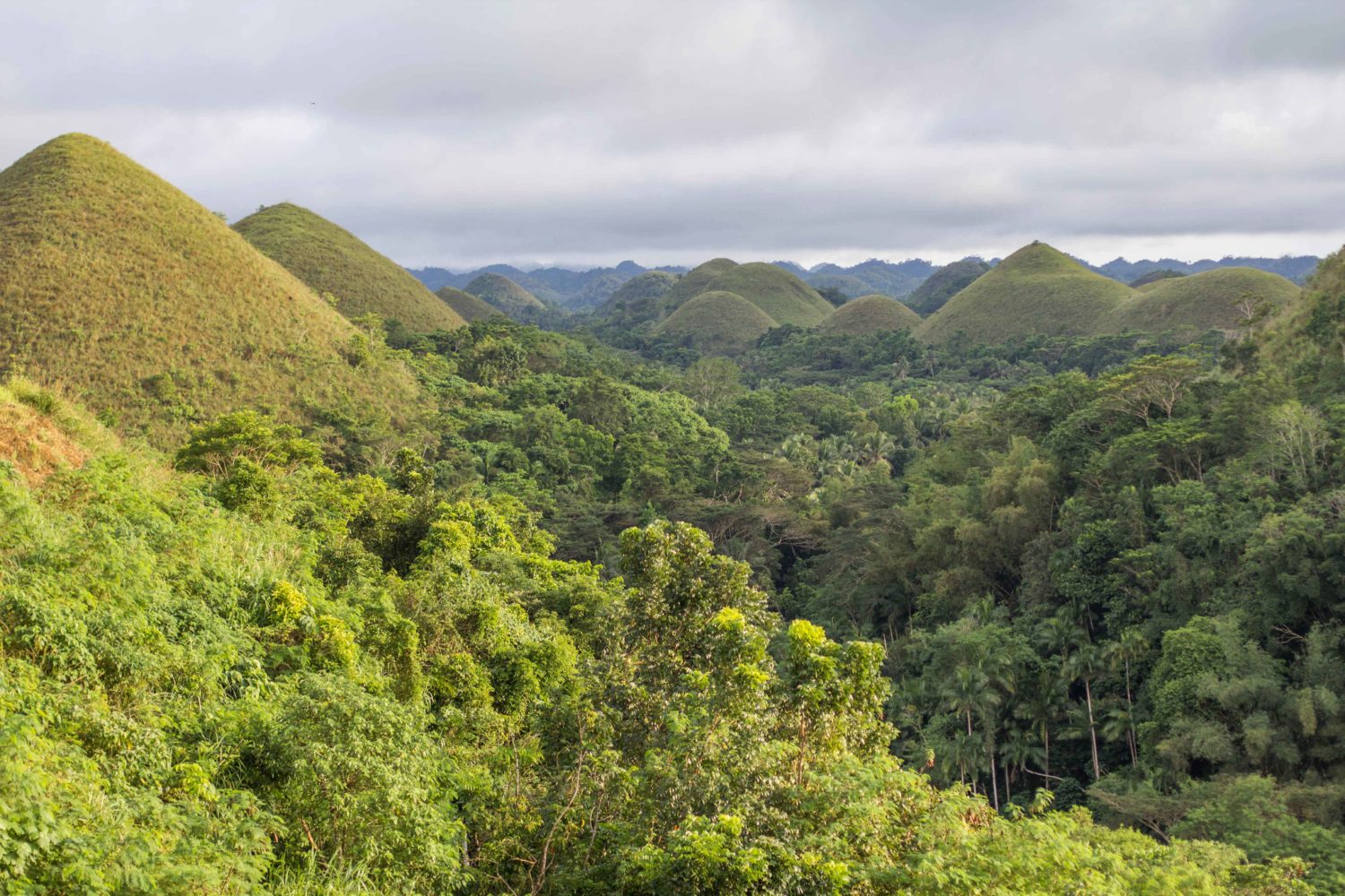 Chocolate Hills Bohol Czekoladowe Wzgórza