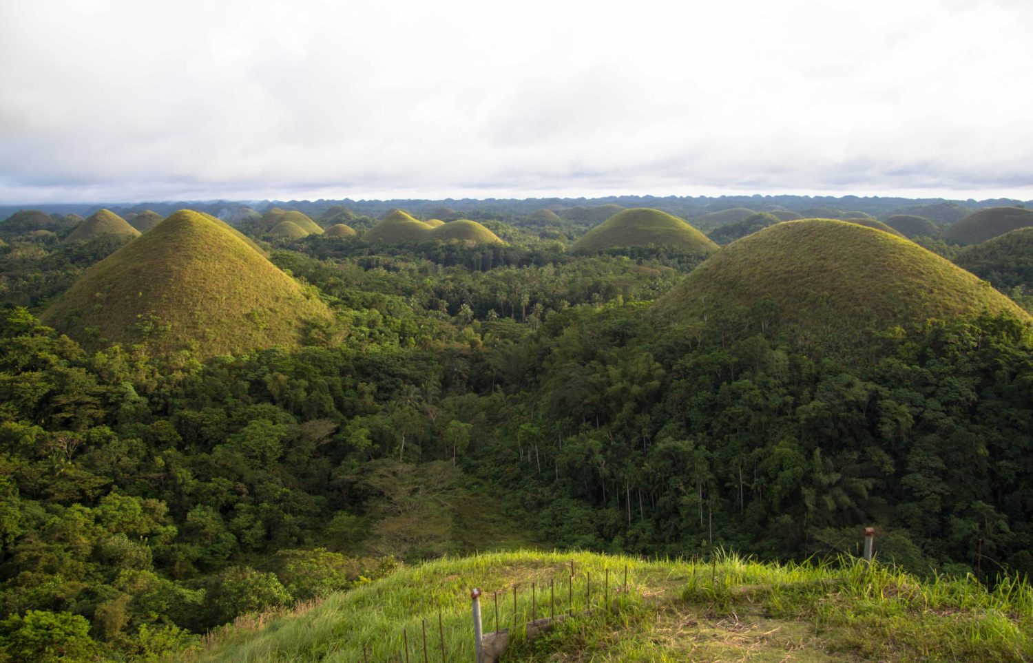 Chocolate Hills Bohol Czekoladowe Wzgórza