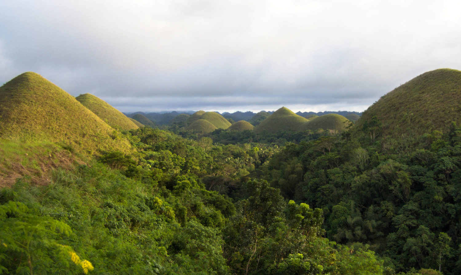 Chocolate Hills Bohol Czekoladowe Wzgórza