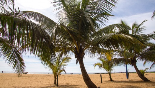 Negombo – na start lankijskiej przygody